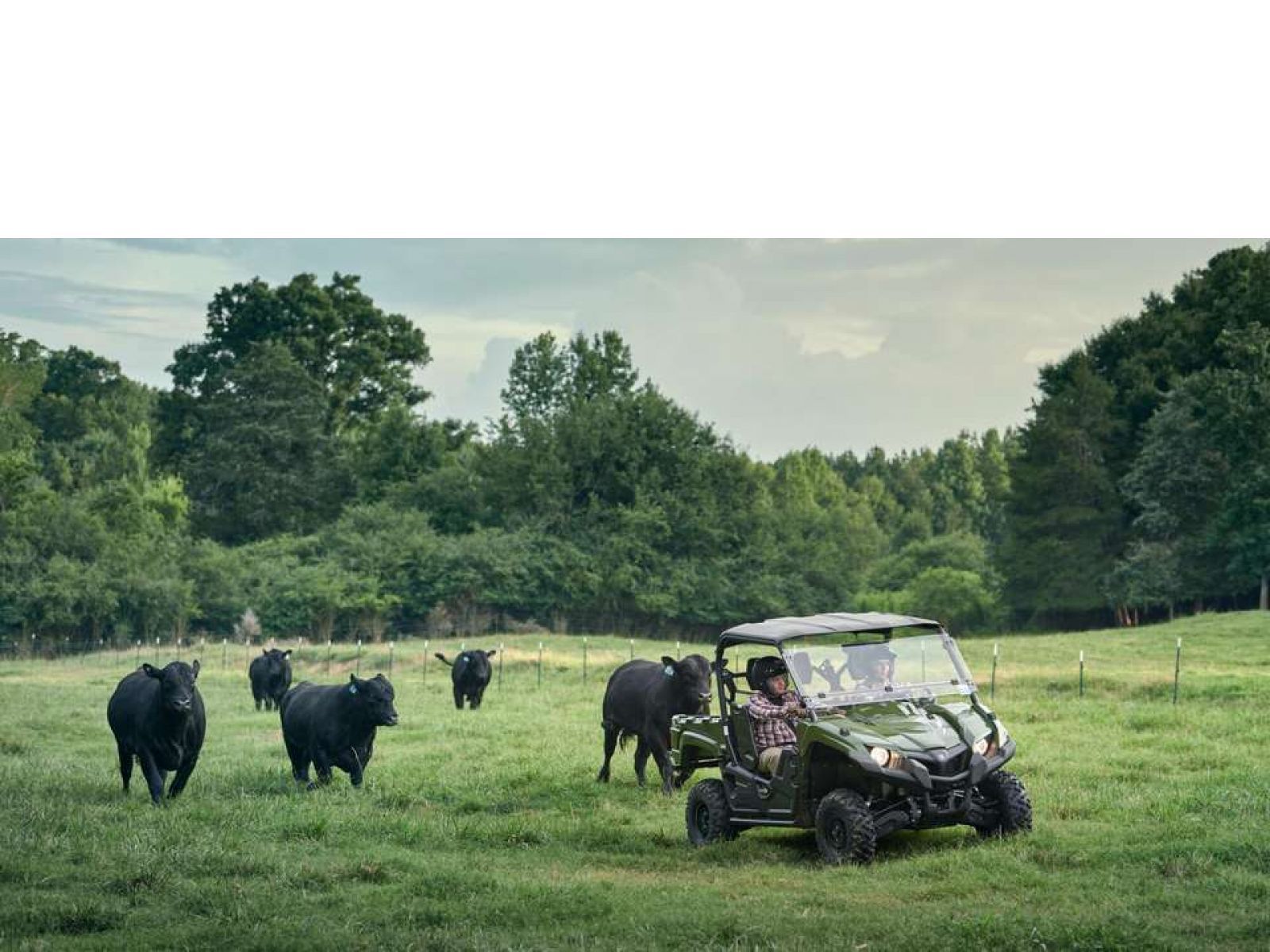  Мотовездеход UTV YAMAHA Viking EPS (Olive Green) 2024